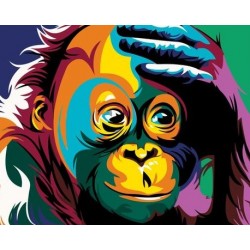 5D Diamantová mozaika - Orangutan