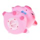 Pokladnička prasiatko - Piggy bank